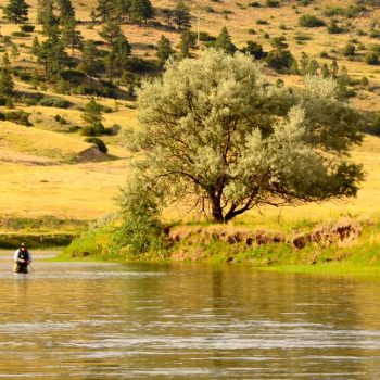 Missouri River Fishing Report 8.7.14