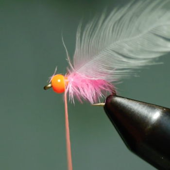 The Clouser Minnow Step-by-Step - The Fat Fingered Fly Tyer