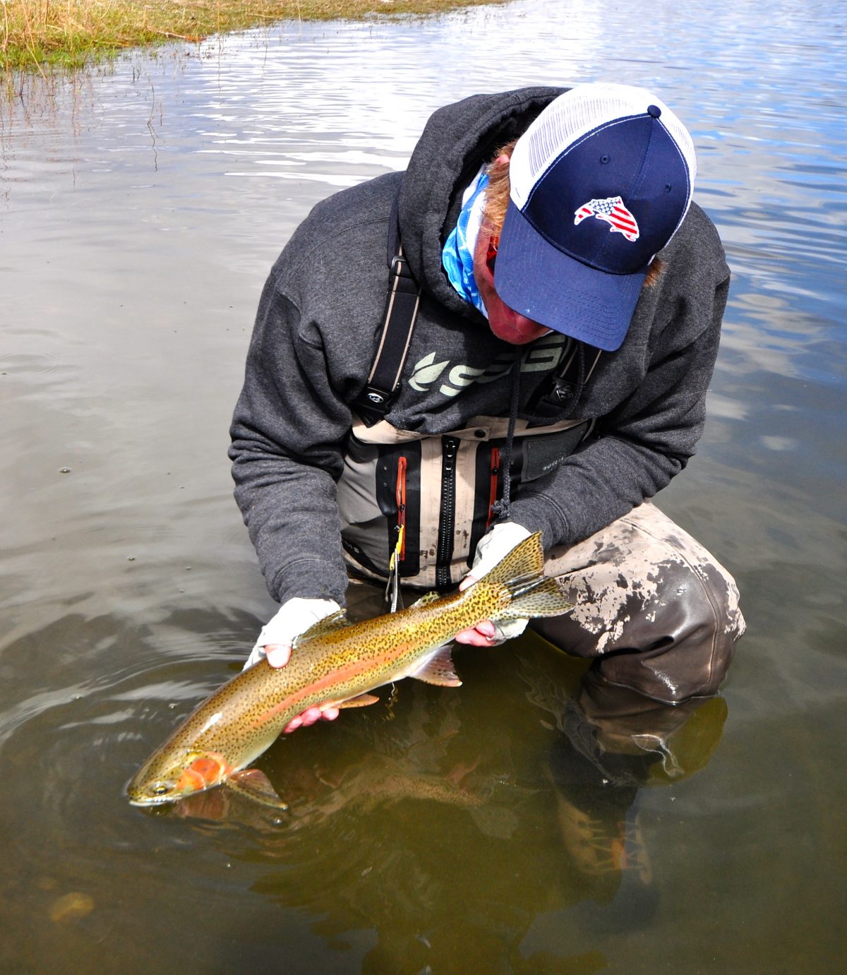  Missouri River Fly Fishing Report Montana