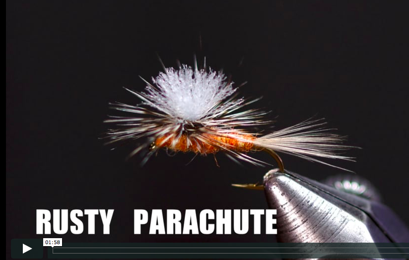 Tying an Executioner Spey Style Variant by Davie McPhail 