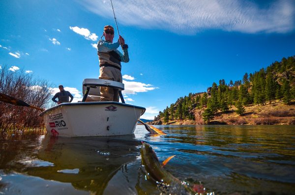 Missouri River Fly Fishing Report - Headhunters Fly Shop