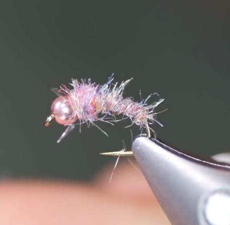 Sheep Creek Special  Riverbum Signature Nymph Fly Pattern