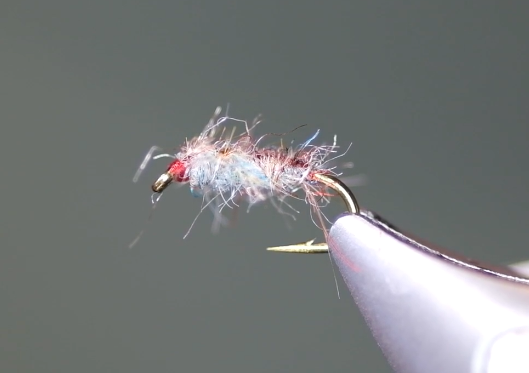 Tailwater Sowbug