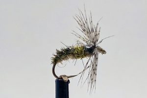 Headhunters Fly Shop - Missouri River Montana Fly Fishing